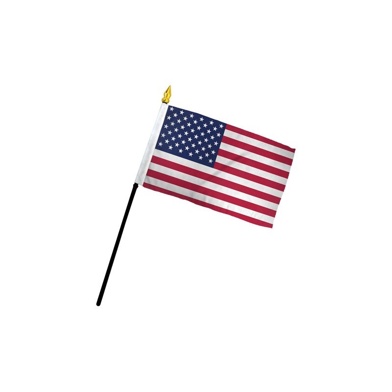 Bandiera America 20 x 15 cm