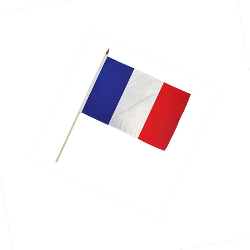 Bandiera Francia 20 x 15 cm