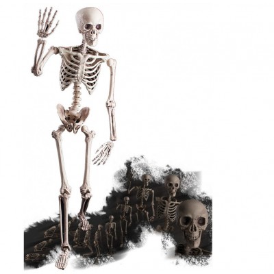 Scheletro cm 160 3D snodabile